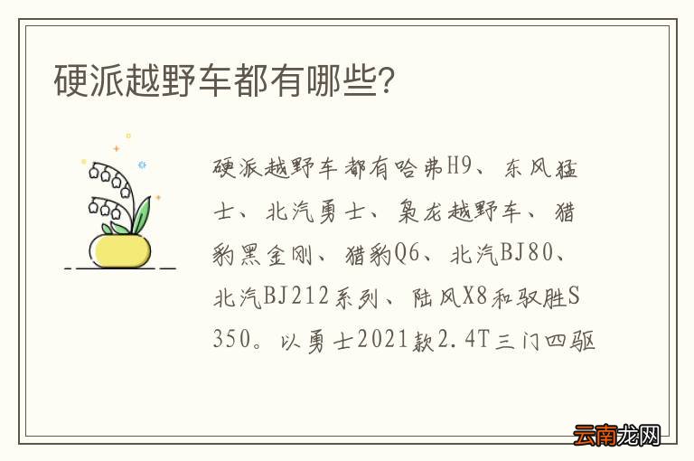 硬派越野车都有哪些？