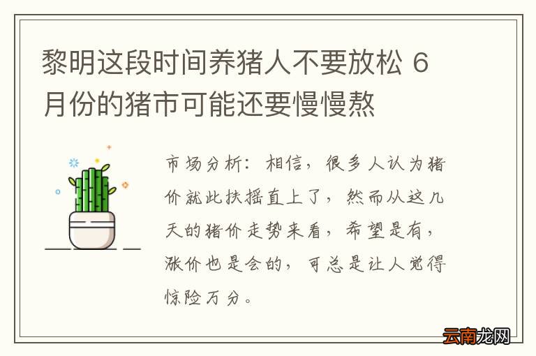 黎明这段时间养猪人不要放松 6月份的猪市可能还要慢慢熬