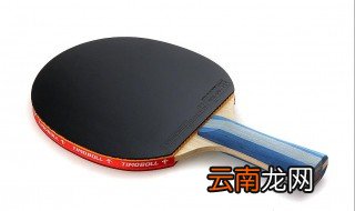 乒乓球底板的选购 如何选购适合自己的乒乓球拍底板