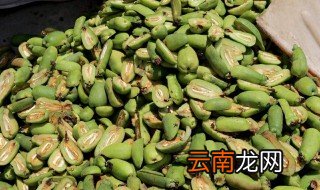 木瓜怎么晒干 教你怎么晒干木瓜的详细方法