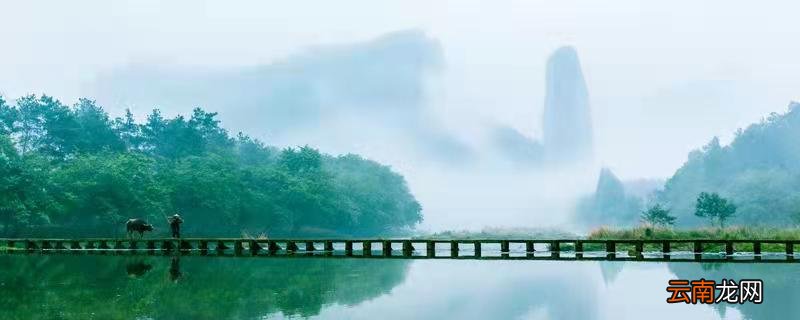 写出你知道的生态灾难的类型 写出你所知道的生态灾难的类型