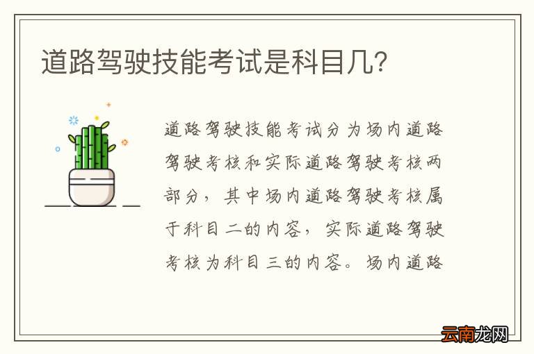 道路驾驶技能考试是科目几？