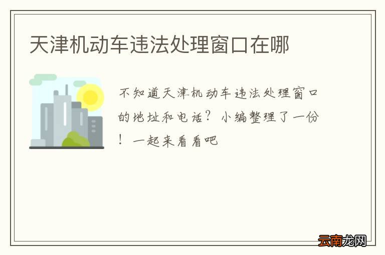天津机动车违法处理窗口在哪