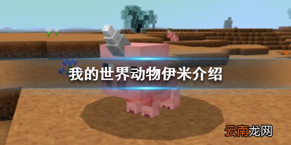 我的世界手游肉排皮革怎么获得 我的世界动物伊米介绍