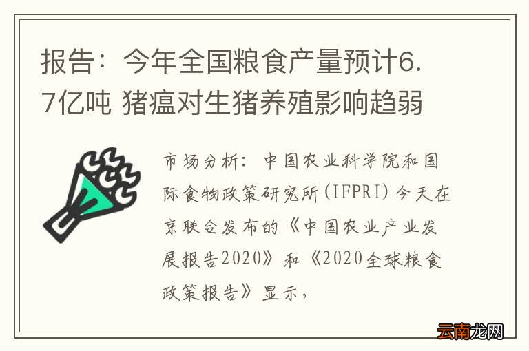 报告：今年全国粮食产量预计6.7亿吨 猪瘟对生猪养殖影响趋弱