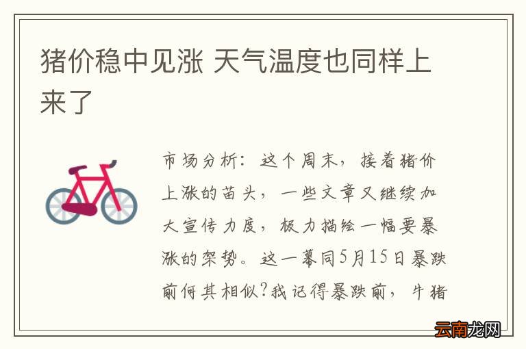 猪价稳中见涨 天气温度也同样上来了