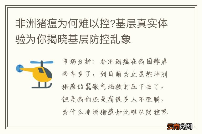 非洲猪瘟为何难以控?基层真实体验为你揭晓基层防控乱象