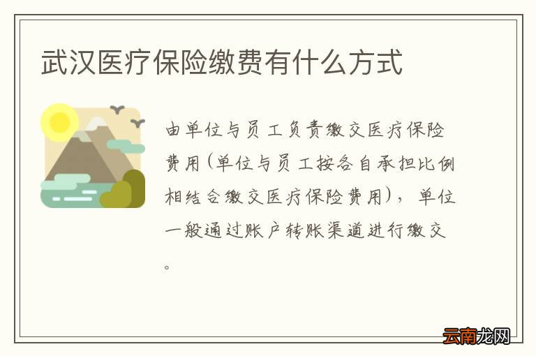 武汉医疗保险缴费有什么方式