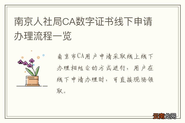 南京人社局CA数字证书线下申请办理流程一览