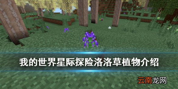 我的世界手游感光组织怎么获得 星际探险迫降洛洛草介绍