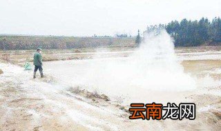 一亩地能撒多少斤石灰 调节土壤的酸碱度杀虫预防的作用