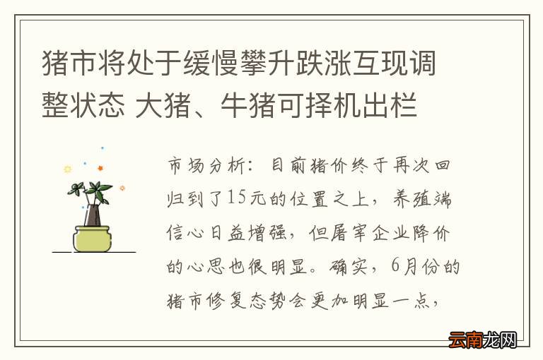 猪市将处于缓慢攀升跌涨互现调整状态 大猪、牛猪可择机出栏