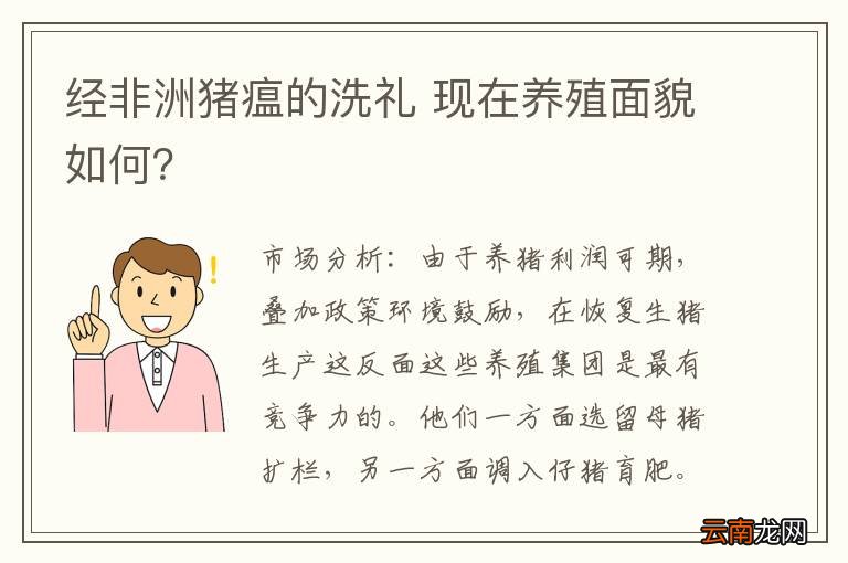 经非洲猪瘟的洗礼 现在养殖面貌如何？