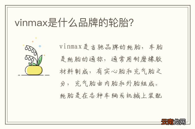 vinmax是什么品牌的轮胎？