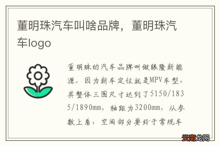 董明珠汽车叫啥品牌，董明珠汽车logo