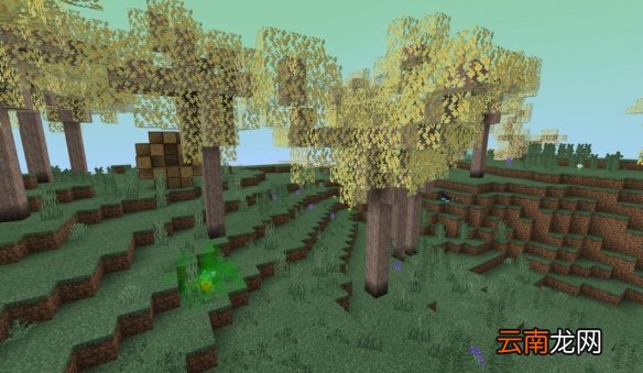 我的世界手游星际探索迷幻森林地形 我的世界迷幻森林资源一览