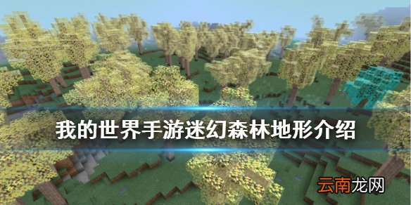 我的世界手游星际探索迷幻森林地形 我的世界迷幻森林资源一览