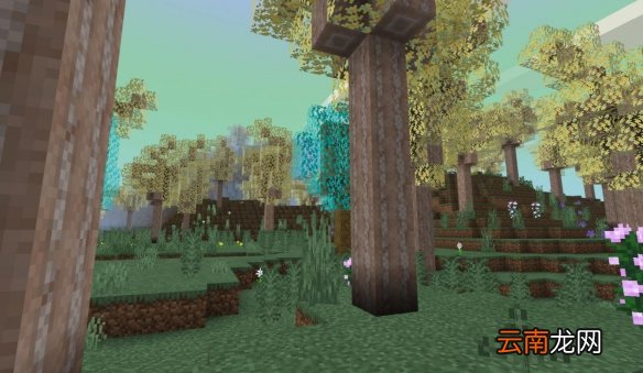 我的世界手游星际探索迷幻森林地形 我的世界迷幻森林资源一览