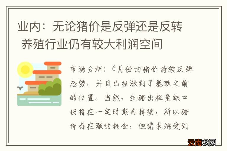 业内：无论猪价是反弹还是反转 养殖行业仍有较大利润空间