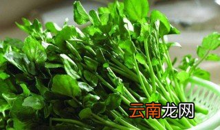 什么是豆瓣菜 花期多少