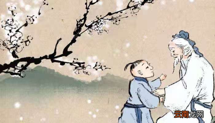 同儿辈赋未开海棠其二的语言风格 同儿辈赋未开海棠前两句写了海棠怎样的特点