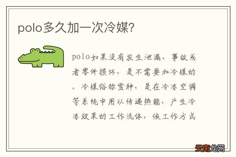 polo多久加一次冷媒？