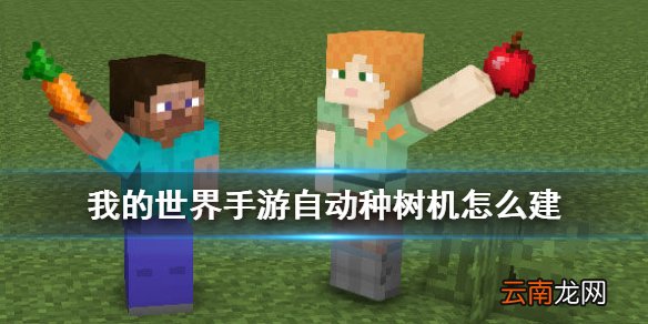 我的世界手游自动种树机怎么建 我的世界刷树机简易建造方法