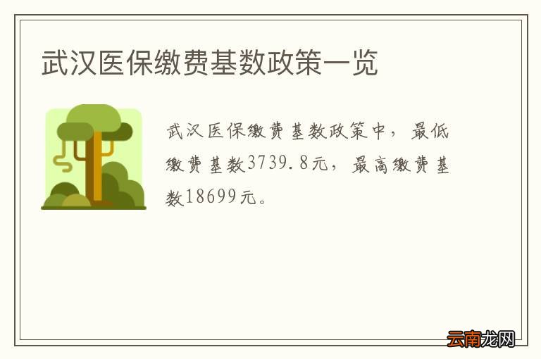武汉医保缴费基数政策一览