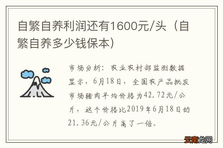 自繁自养多少钱保本 自繁自养利润还有1600元/头