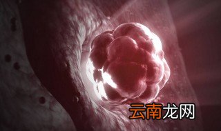 捐卵是什么 捐卵卵子怎么取出