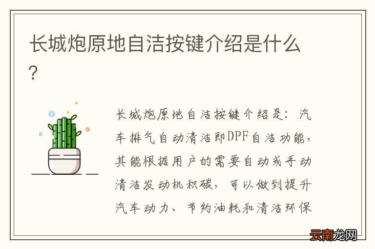 长城炮原地自洁按键介绍是什么？