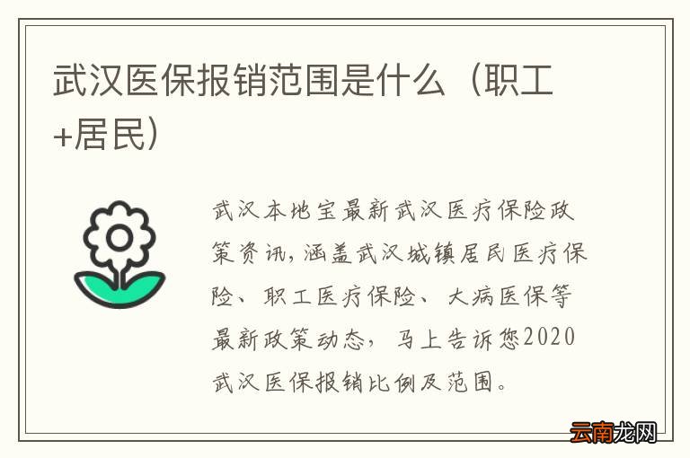 职工+居民 武汉医保报销范围是什么
