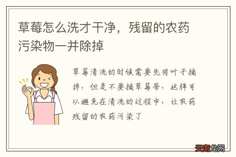 草莓怎么洗才干净,残留的农药污染物一并除掉