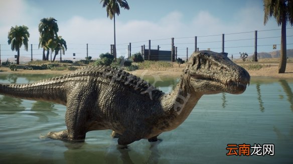 侏罗纪世界进化2捕猎打斗心得分享 游戏打斗效果怎么样