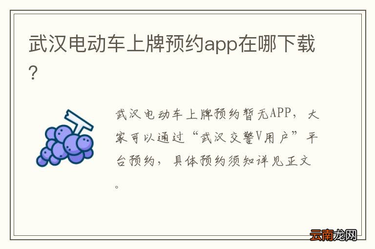 武汉电动车上牌预约app在哪下载？