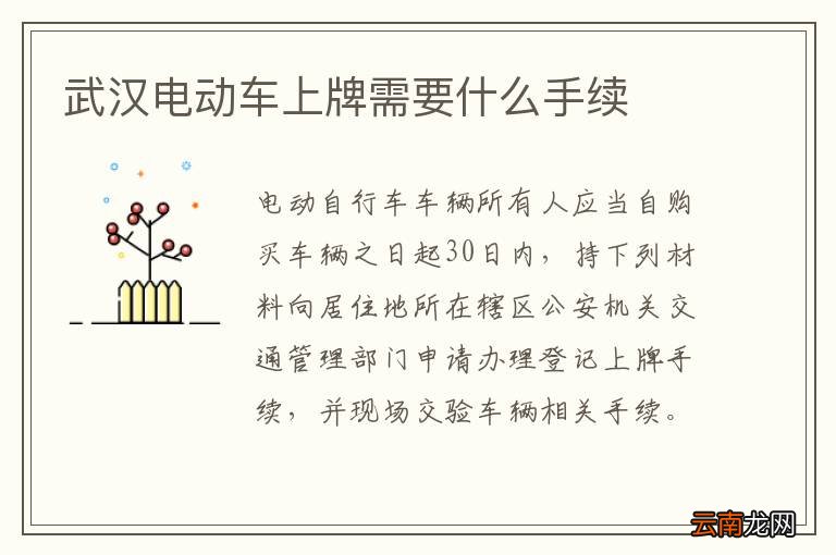 武汉电动车上牌需要什么手续