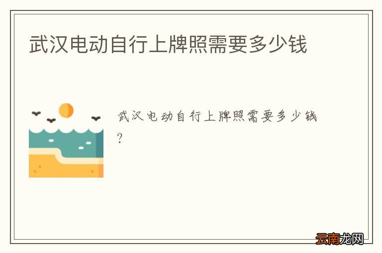 武汉电动自行上牌照需要多少钱