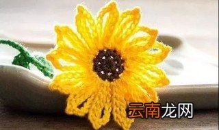 简单小花的钩法 钩法简单学起来