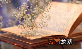 清算资金往来是什么 清算资金往来介绍