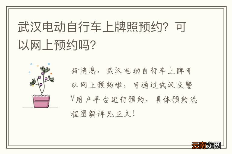 武汉电动自行车上牌照预约？可以网上预约吗？