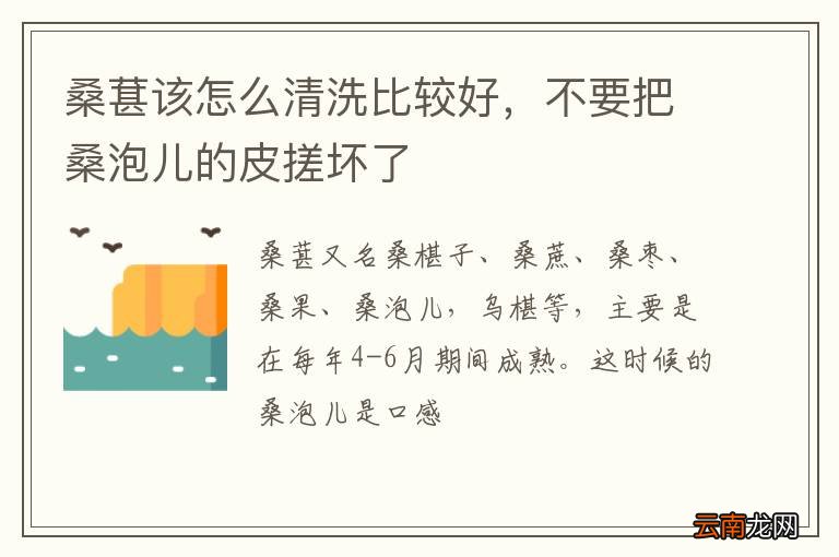 桑葚该怎么清洗比较好，不要把桑泡儿的皮搓坏了