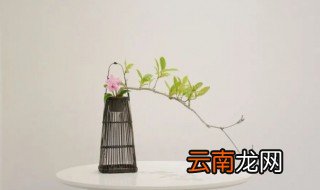 哲理的意思是什么 哲理简单介绍