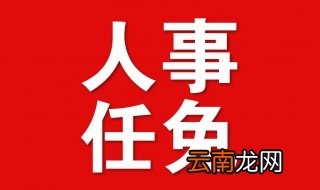 任免是什么意思 任免词语的解释