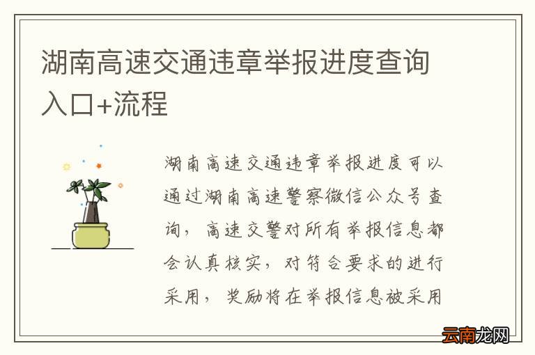 湖南高速交通违章举报进度查询入口+流程