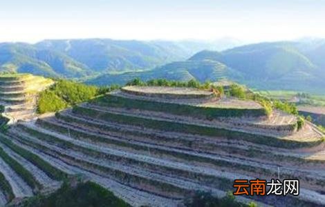 山地苹果园灌溉技术