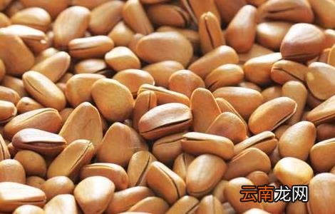 松子种植多久能结果