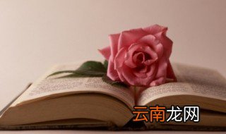 新文化运动的性质 新文化运动的性质是什么