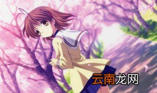 clannad为什么是神作 clannad这部动漫被称为神作是否过誉