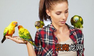 鸟旁的字有哪些字 鸟旁的字有什么字