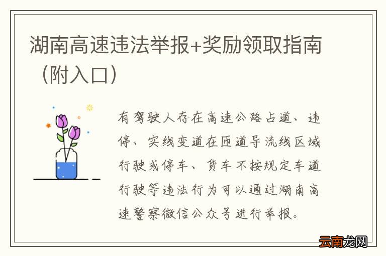 附入口 湖南高速违法举报+奖励领取指南